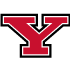 Youngstown St Penguins.png logo